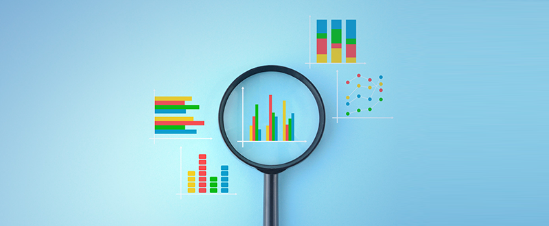 Our Latest Reports and Dashboards: Leveraging Organisational Data for Informed Decisions